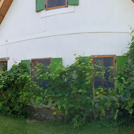 Apartment Rustico Apartman *